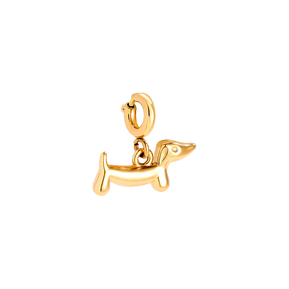 Charm Dog