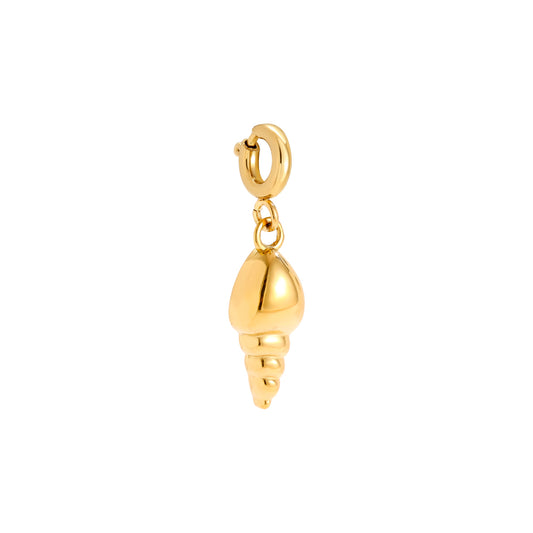 Charm Conch