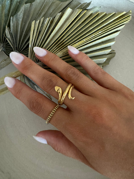 Ring Cora